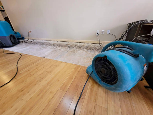 Professional Water Damage Repair technician working in Woody, CA